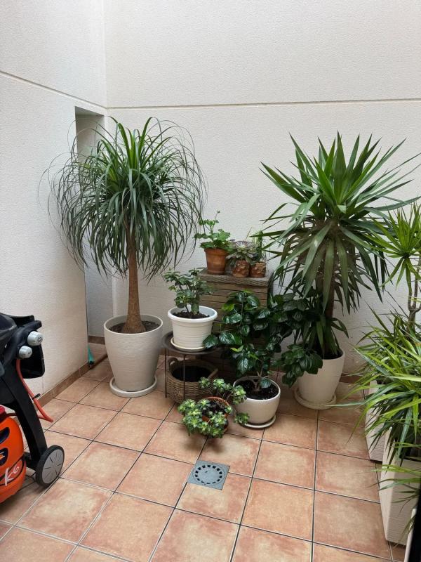 Sale of townhouse in Punta prima s/n , Torrevieja photo 2