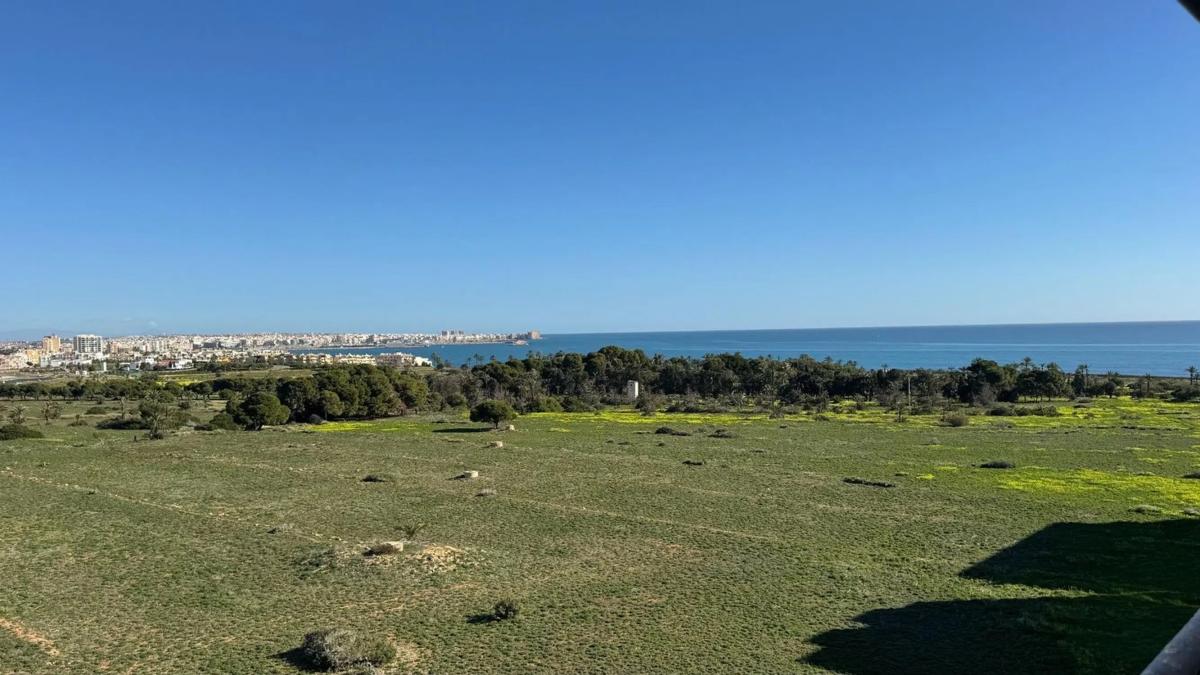 Venta de piso en punta prima, Torrevieja
 photo 4