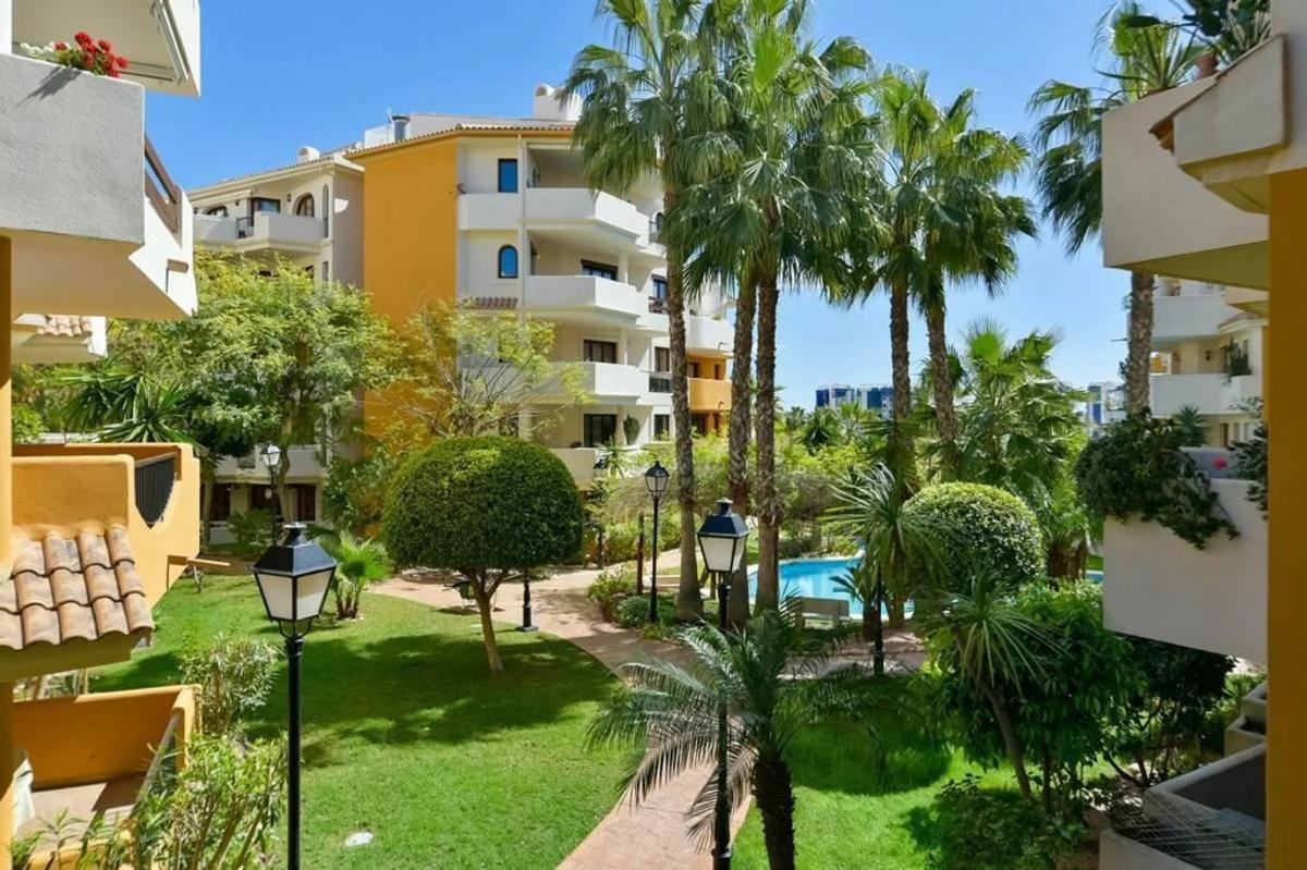 Sale of apartment in punta prima, Torrevieja
photo 2