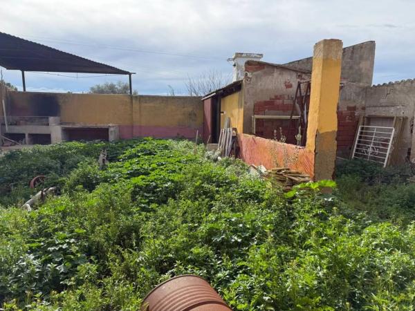 Finca rústica en venta en Partida Barranc de Sant Gaieta , Crevillente thumbnail 1