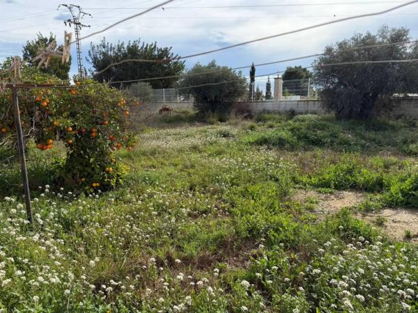 Finca rústica en venta en Partida Barranc de Sant Gaieta , Crevillente thumbnail 2