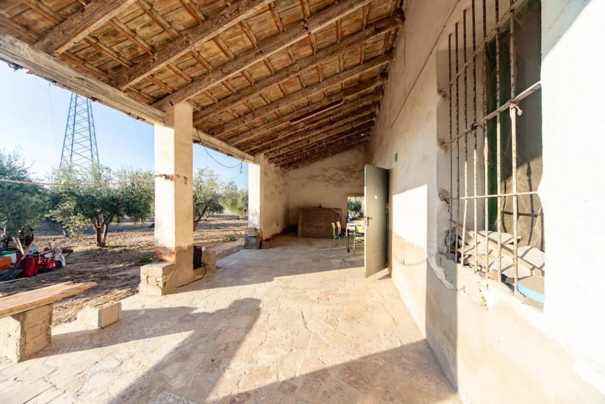 Venta de finca rústica en  Partida , Crevillente photo 2