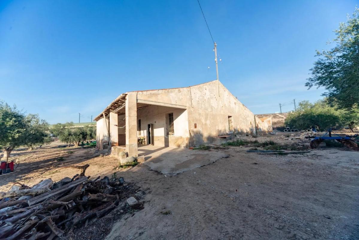 Venta de finca rústica en  Partida , Crevillente photo 3