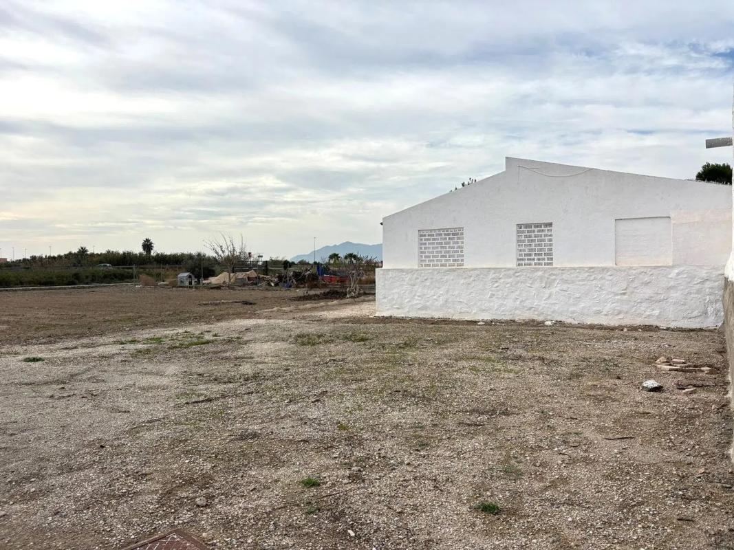 Venta de finca rústica en Crevillente , Crevillente photo 3