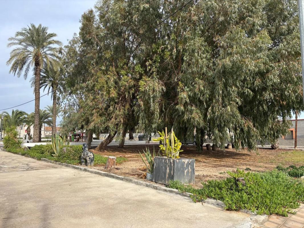 Продажа отдельного шале в  Crevillente, Кревильенте photo 4