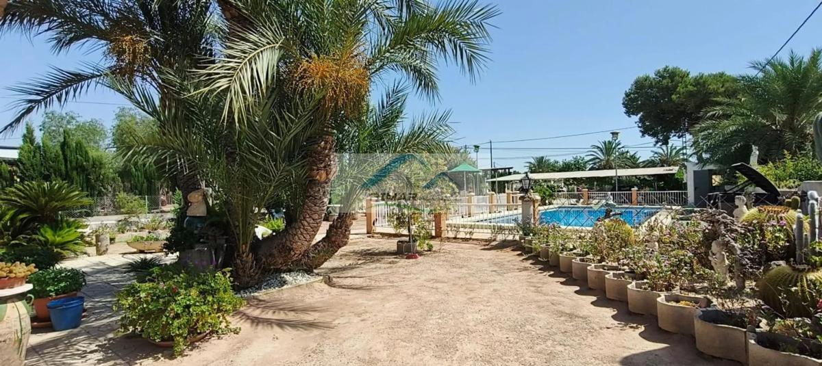 Venta de chalet independiente en Algoda-Matola-Llano de San José, Elche / Elx
 photo 2