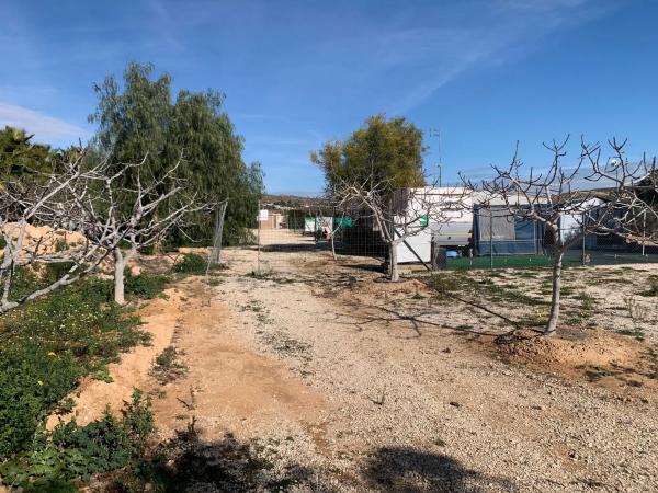 Finca rústica en venta en Torrellano , Elche / Elx photo 1