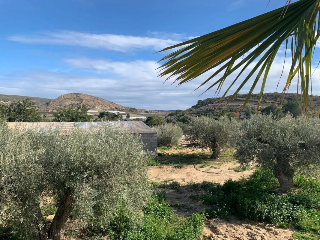 Venta de finca rústica en  Torrellano , Elche / Elx photo 5