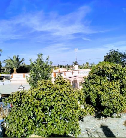 Independent chalet for sale in Camino del tío pau, 242, Elche / Elx
thumbnail 1