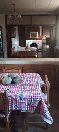 Independent chalet for sale in Camino del tío pau, 242, Elche / Elx
 photo 4