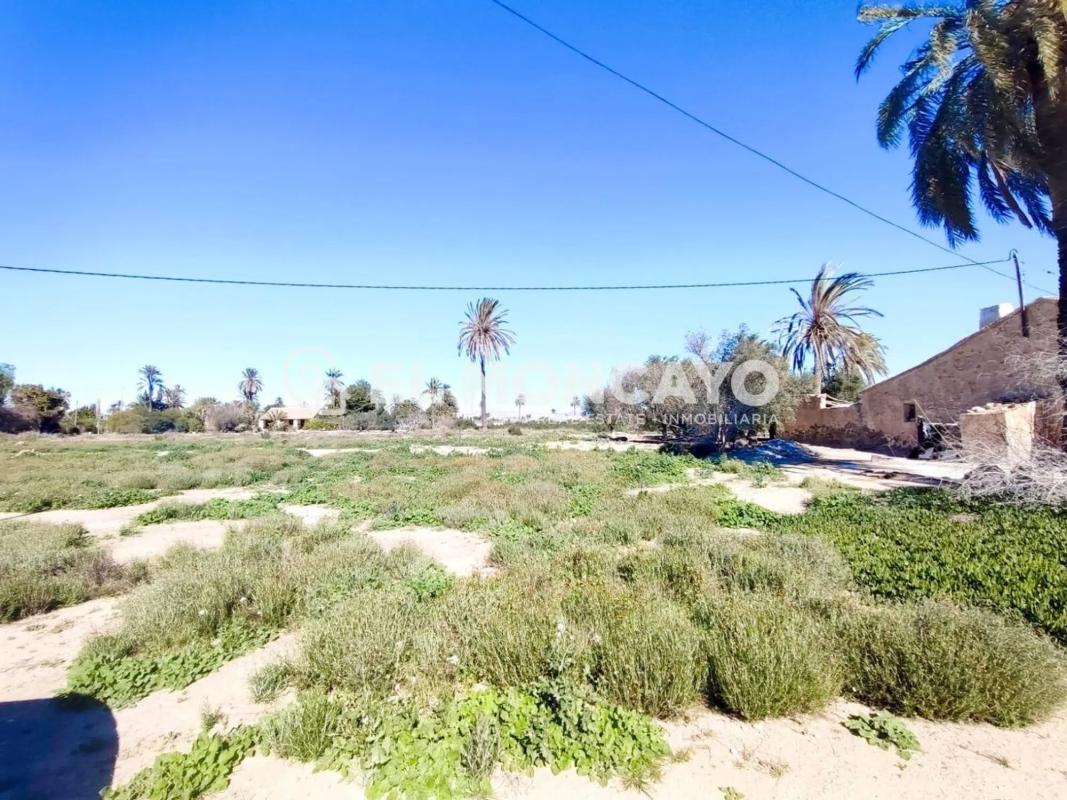 Sale of rural property in Las Bayas-Asprillas , Elche / Elx photo 4