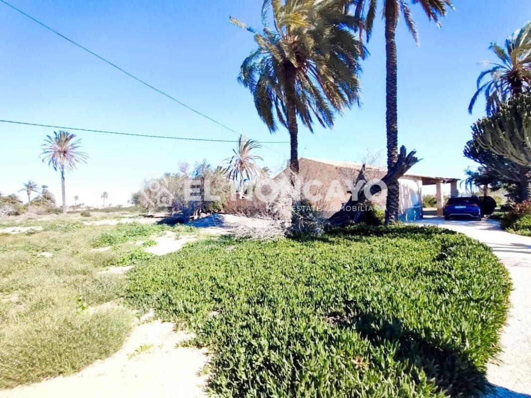 Sale of rural property in Las Bayas-Asprillas , Elche / Elx photo 5