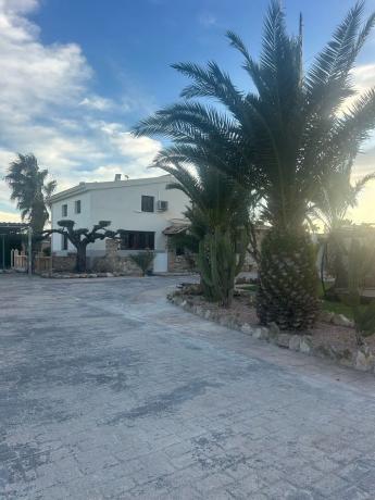 Independent chalet for sale in Partida Daimes, 3149 B, Elche / Elx
thumbnail 1