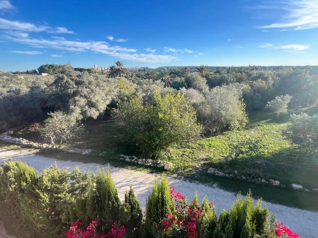 Venta de chalet independiente en El Altet - Balsares, Elche / Elx
 photo 4