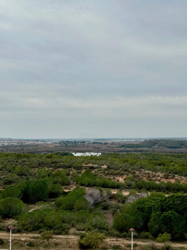 Penthouse sale in  Calle Bahía, Elche / Elx photo 2