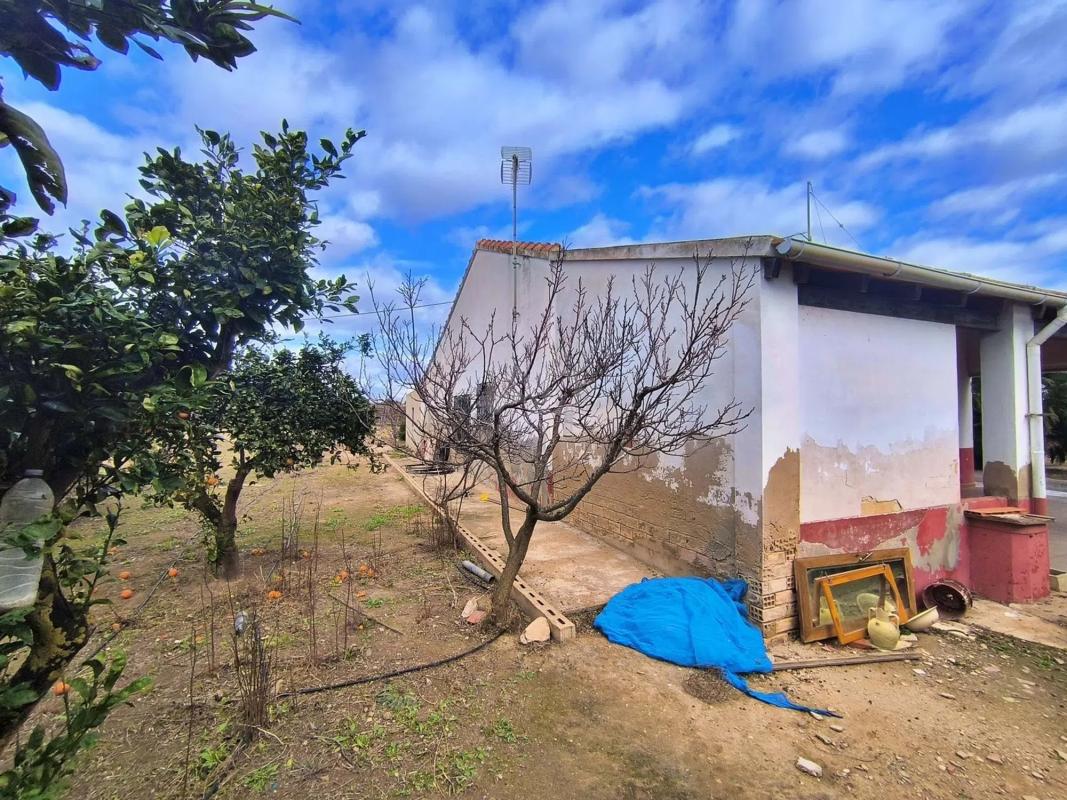 Venta de chalet independiente en Las Bayas-Asprillas, Elche / Elx
photo 4
