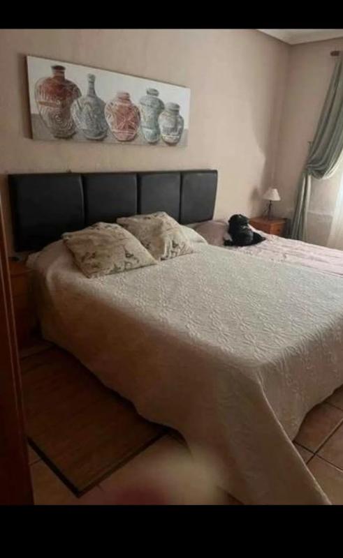 Sale of independent chalet in Camino de la Piedra Escrita, Elche / Elx
photo 1