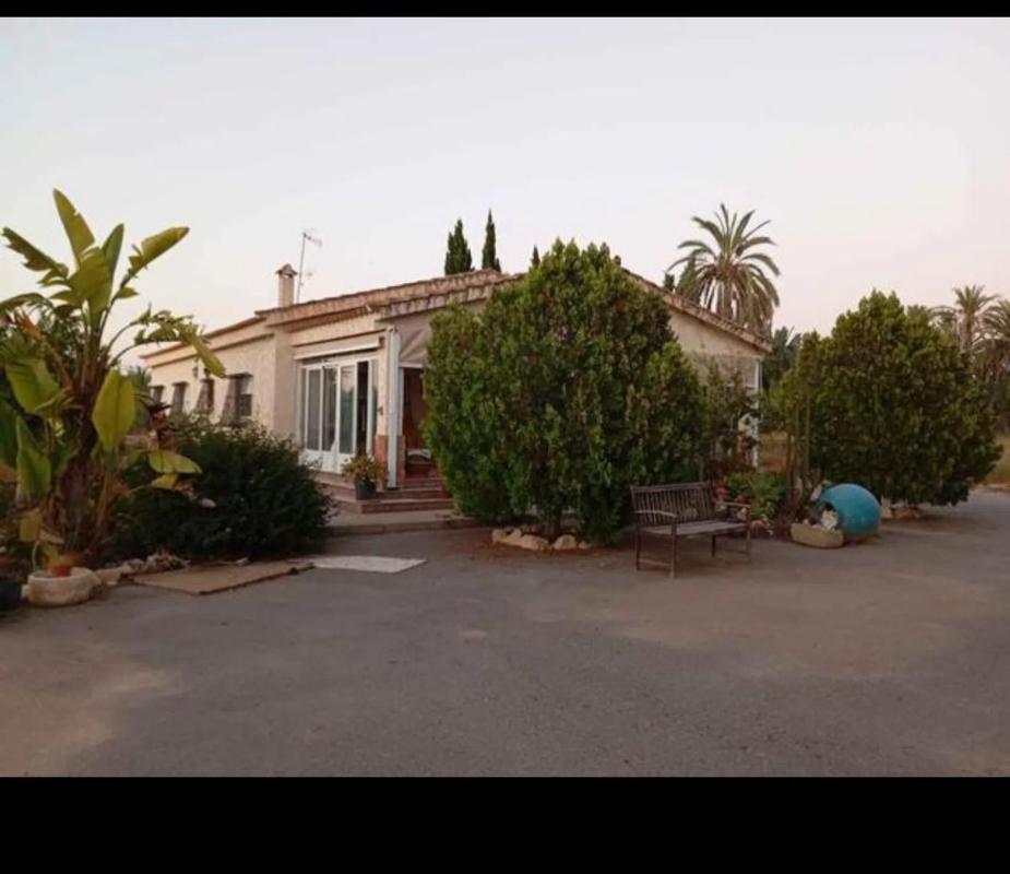 Sale of independent chalet in Camino de la Piedra Escrita, Elche / Elx
photo 2
