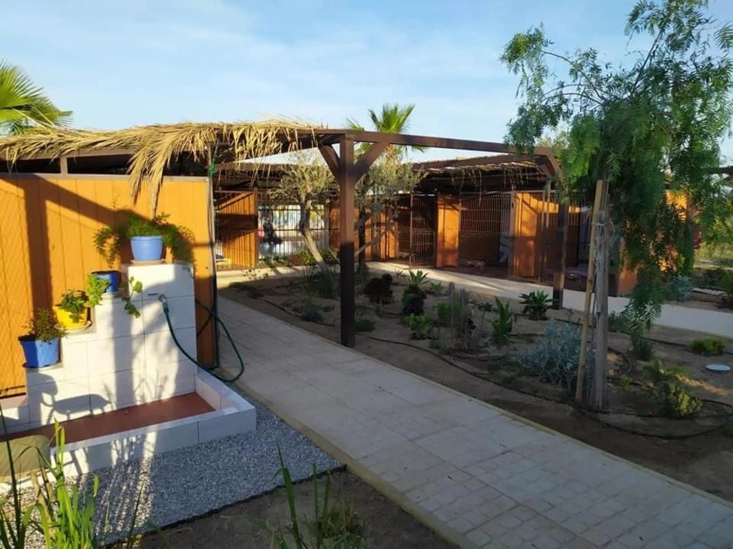 Sale of rural property in Algoda-Matola-Llano de San José , Elche / Elx photo 1