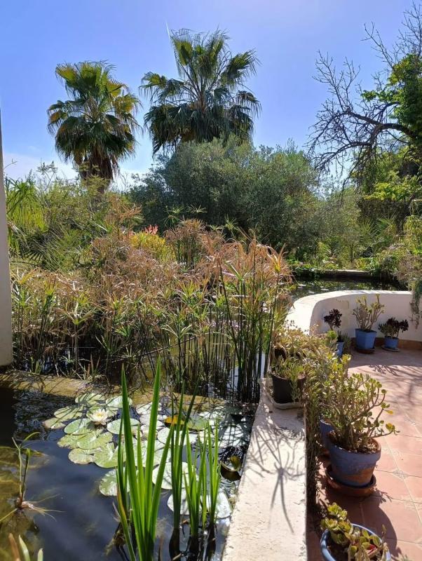 Sale of rural property in Algoda-Matola-Llano de San José , Elche / Elx photo 4