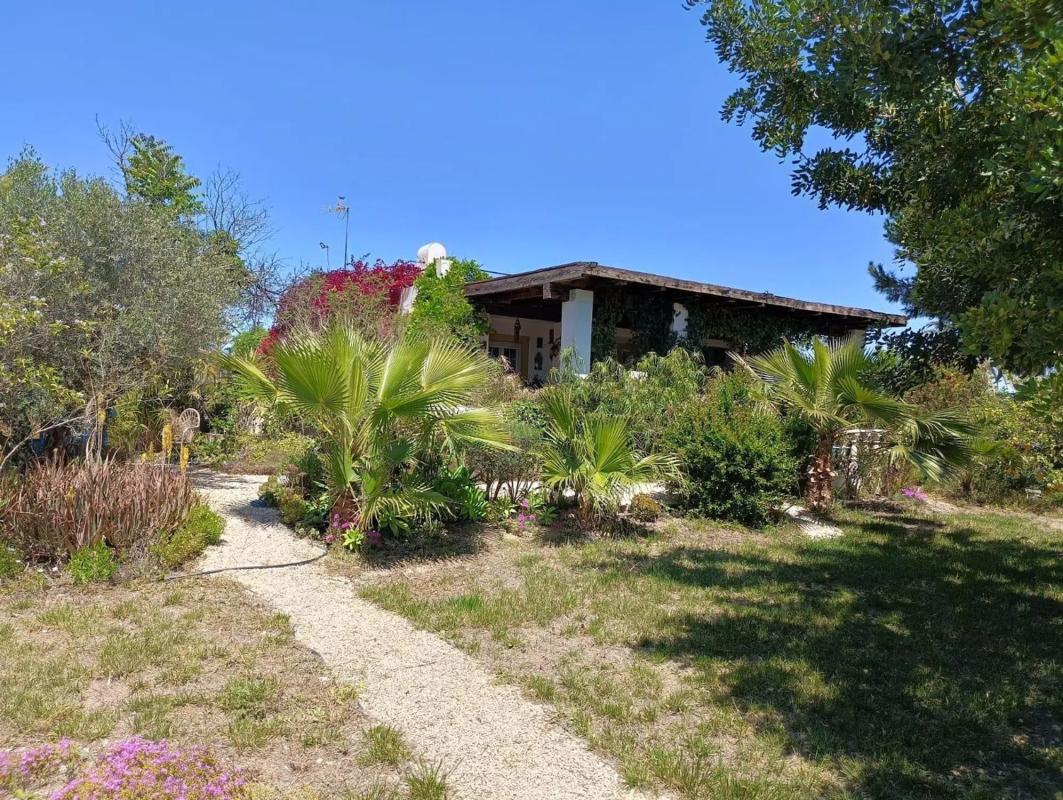 Sale of rural property in Algoda-Matola-Llano de San José , Elche / Elx photo 5