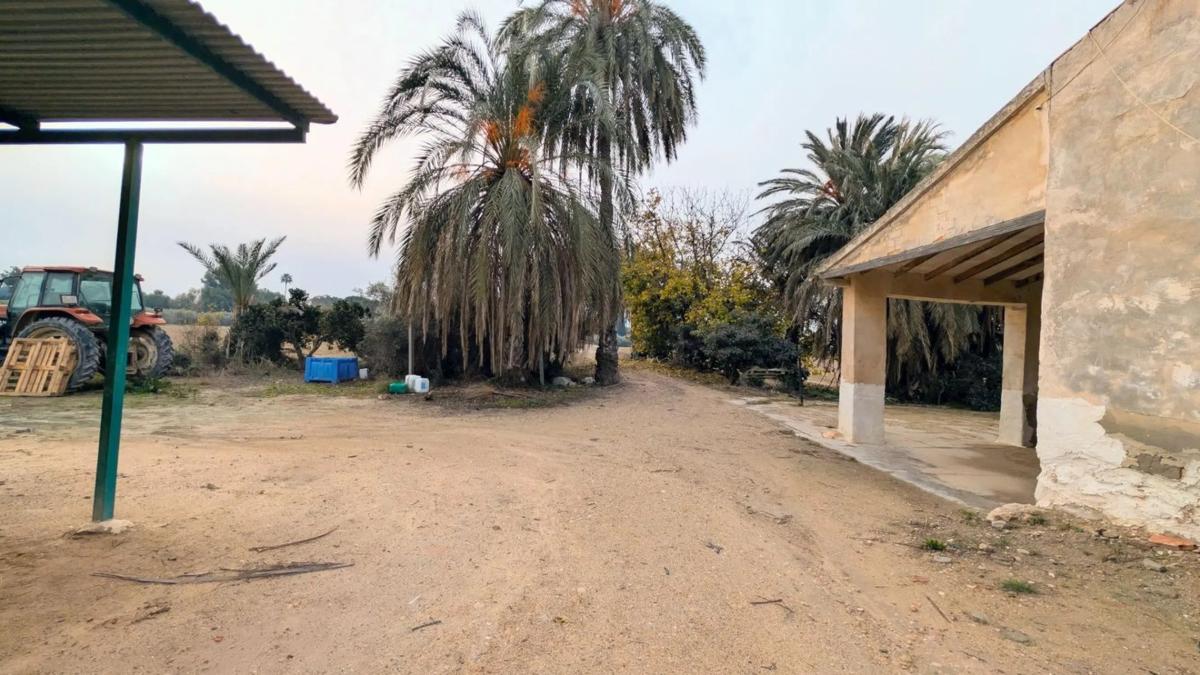 Venta de finca rústica en  Algoda-Matola-Llano de San José , Elche / Elx photo 4