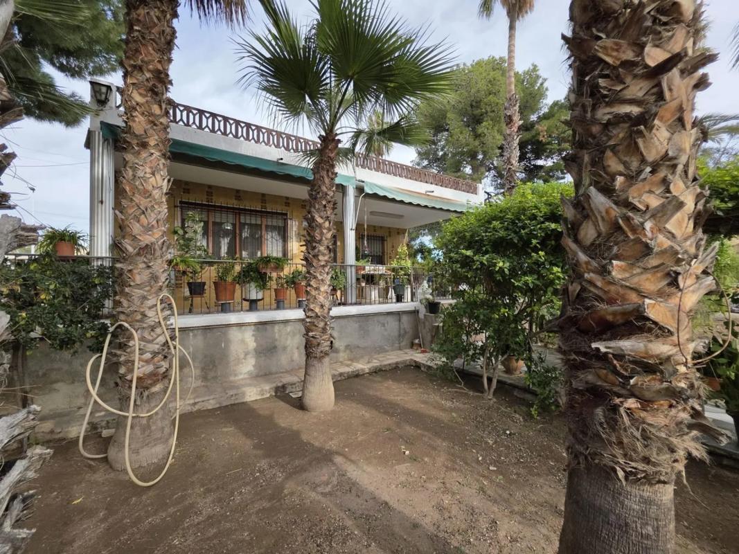 Sale of independent chalet in Peña de Las Águilas, Elche / Elx
 photo 3