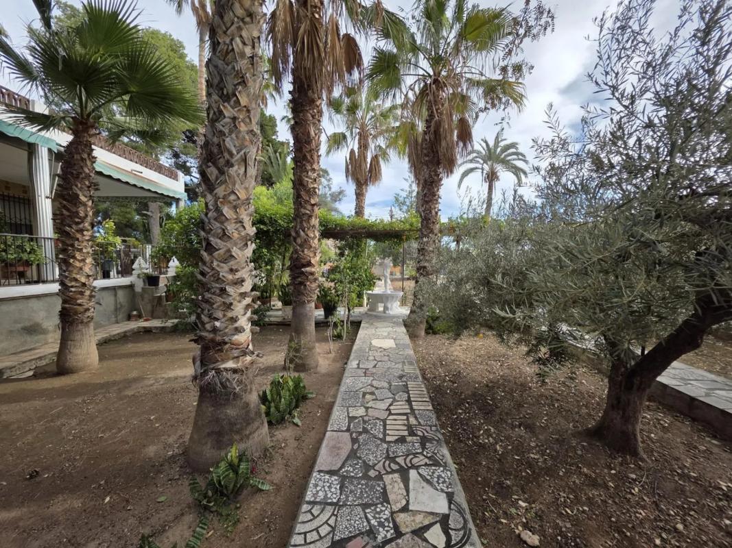Sale of independent chalet in Peña de Las Águilas, Elche / Elx
 photo 5