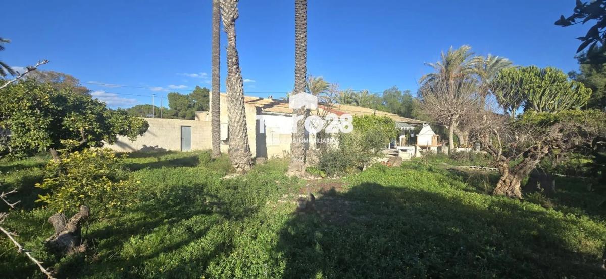Venta de chalet independiente en Avenida d'Algoda, Elche / Elx
photo 5