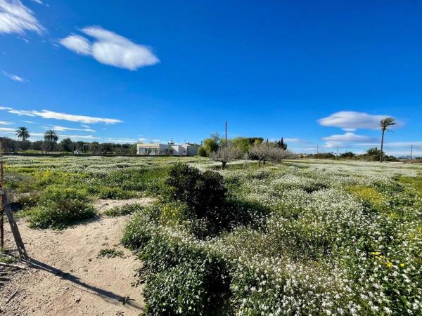Independent chalet for sale in La Hoya-Daimes-El Derramador, Elche / Elx
photo 1