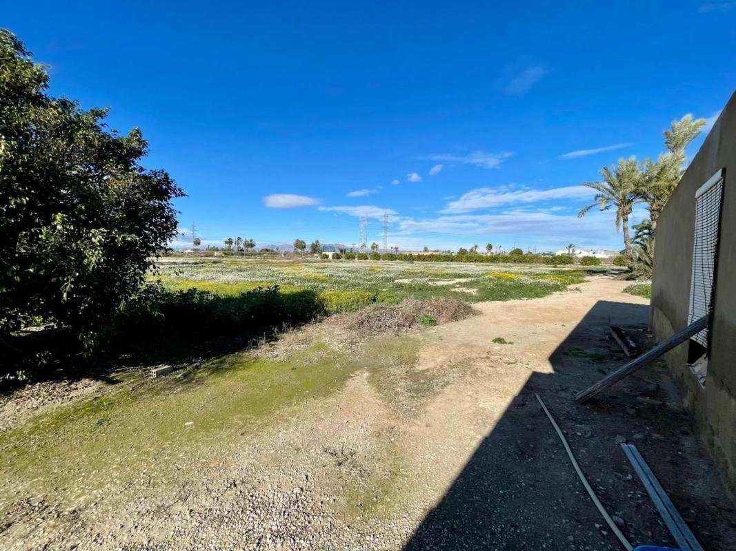 Sale of independent chalet in La Hoya-Daimes-El Derramador, Elche / Elx
 photo 2