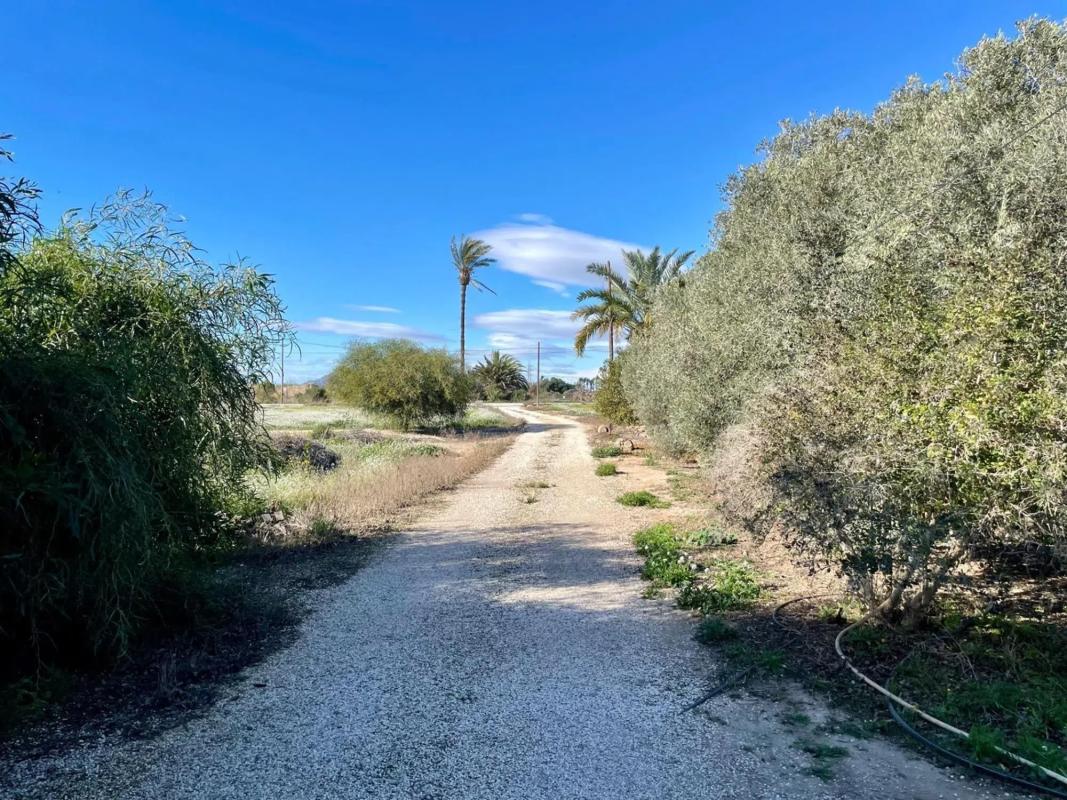 Sale of independent chalet in La Hoya-Daimes-El Derramador, Elche / Elx
 photo 3