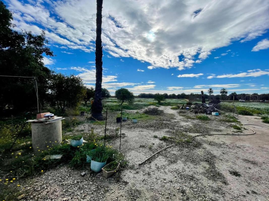 Sale of independent chalet in La Hoya-Daimes-El Derramador, Elche / Elx
 photo 4