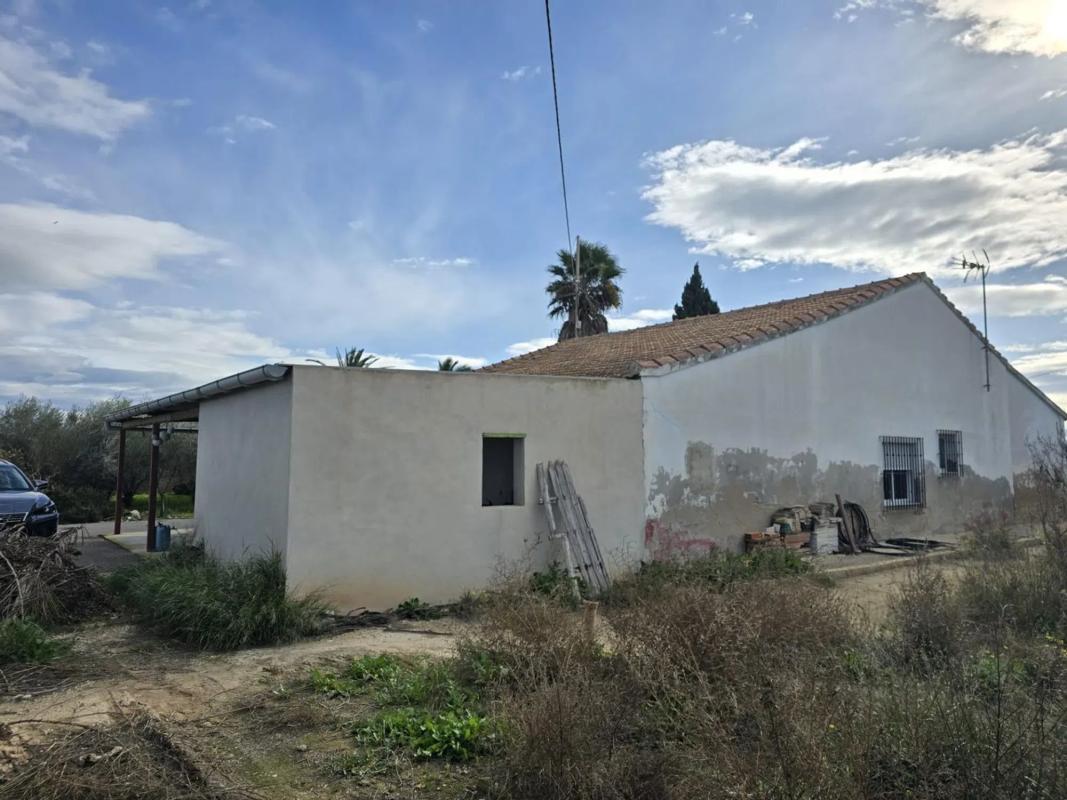 Venta de chalet independiente en Camino de los Mina, Elche / Elx
photo 2