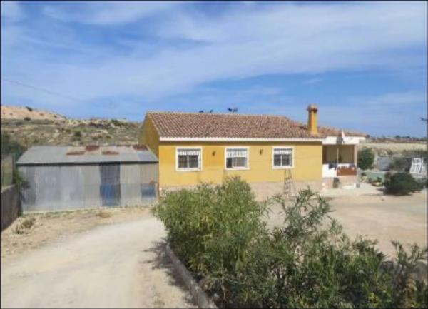 Independent chalet for sale in Partida Carrus, Elche / Elx
 photo