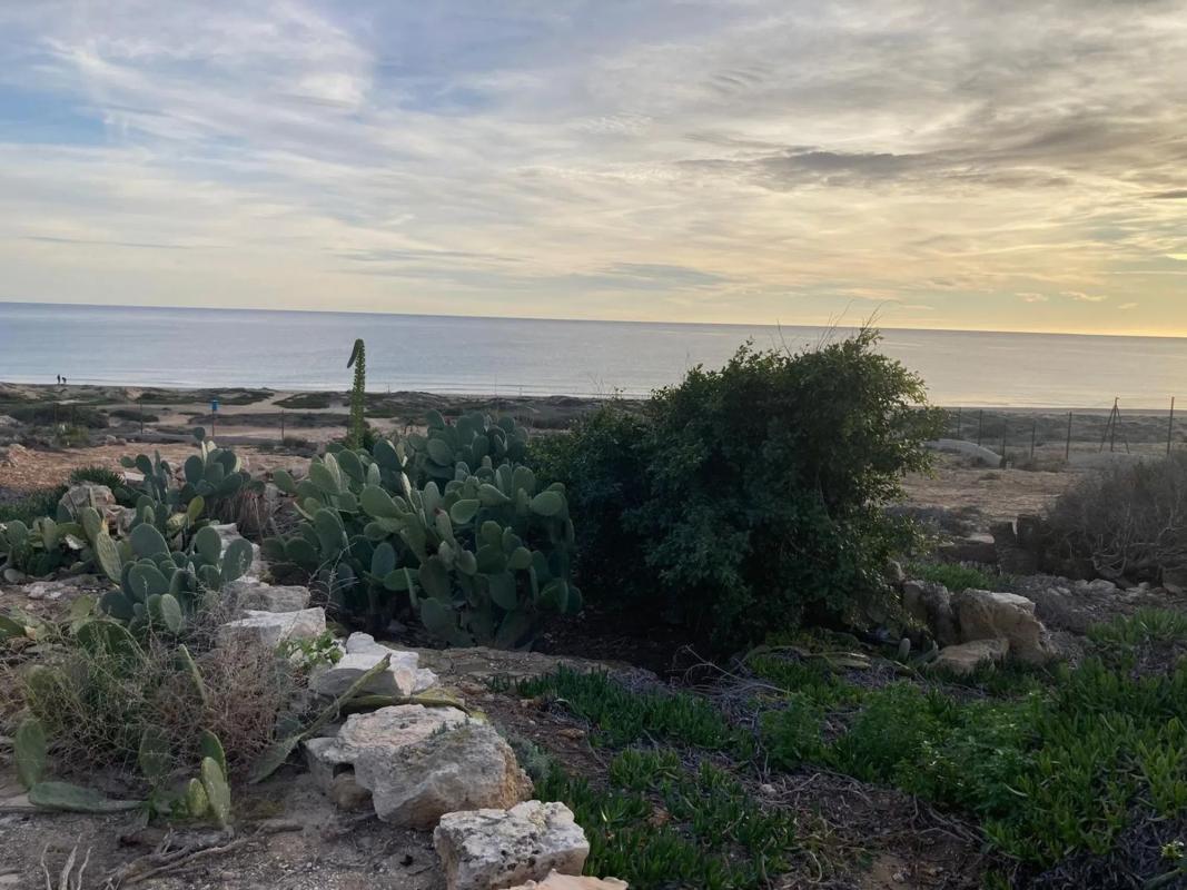 Venta de chalet independiente en Barrio El Palmeral-Urbanova-Tabarca, Alicante / Alacant
photo 1
