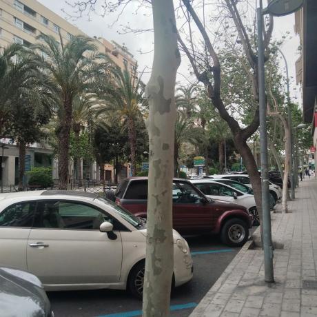 Local en avenida Oscar Espla photo