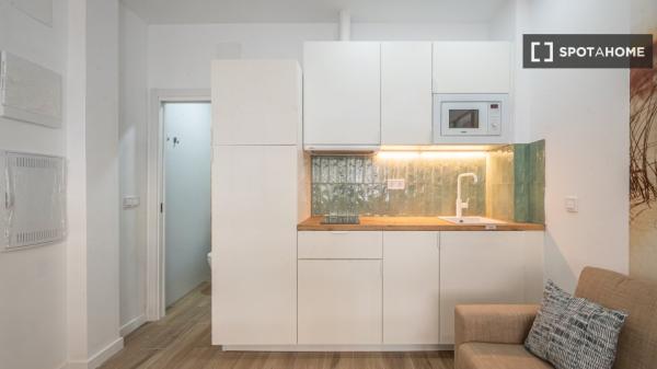 Estudio en alquiler en C. Piqueñas, Madrid photo 4