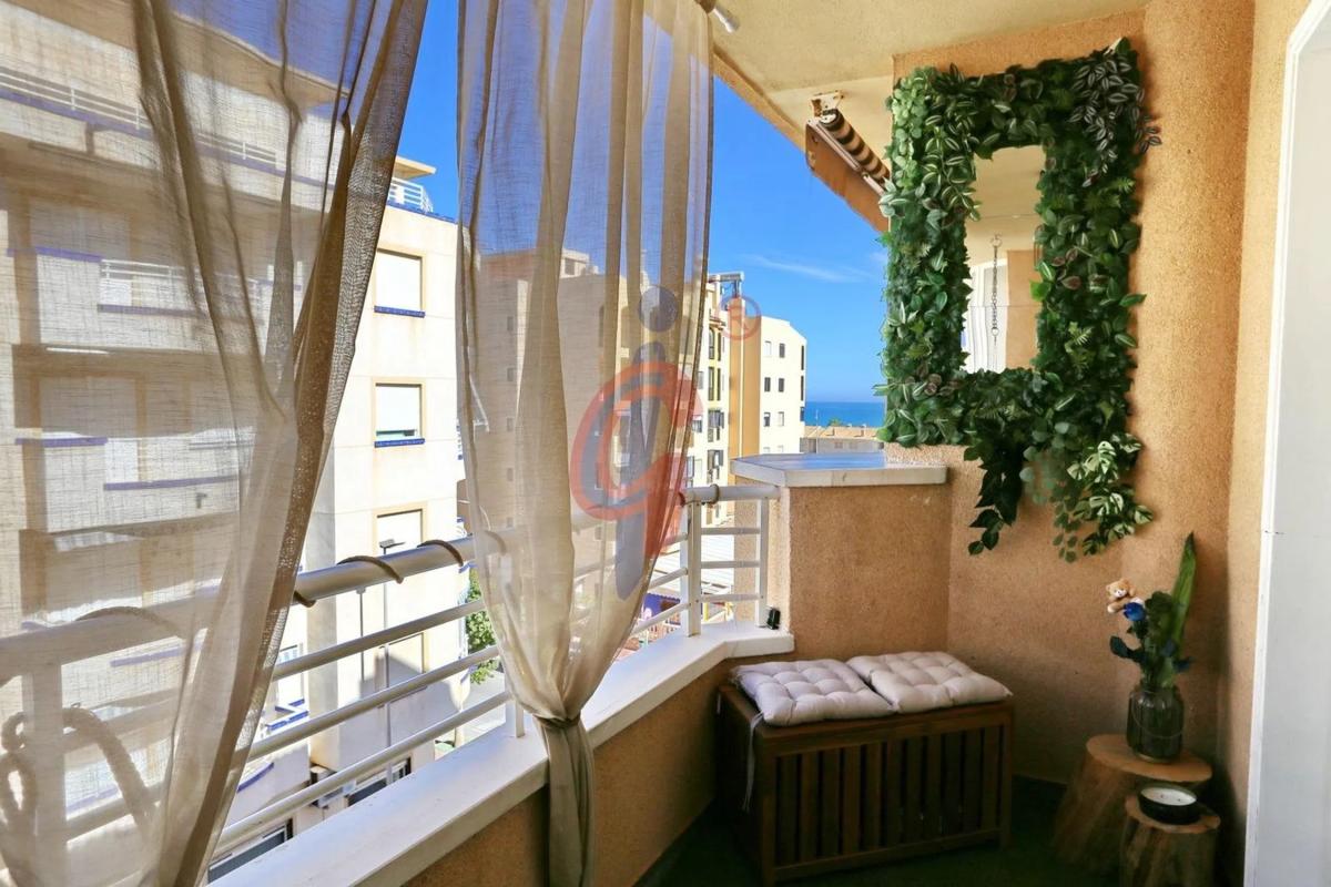 Venta de duplex en Calle del Enginyer Joaquín Muñoz, 16, Guardamar del Segura photo 4