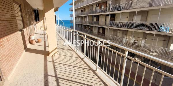 Venta de piso en Guardamar Playa, Guardamar del Segura
 photo 3