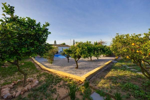 Casa independiente photo 3