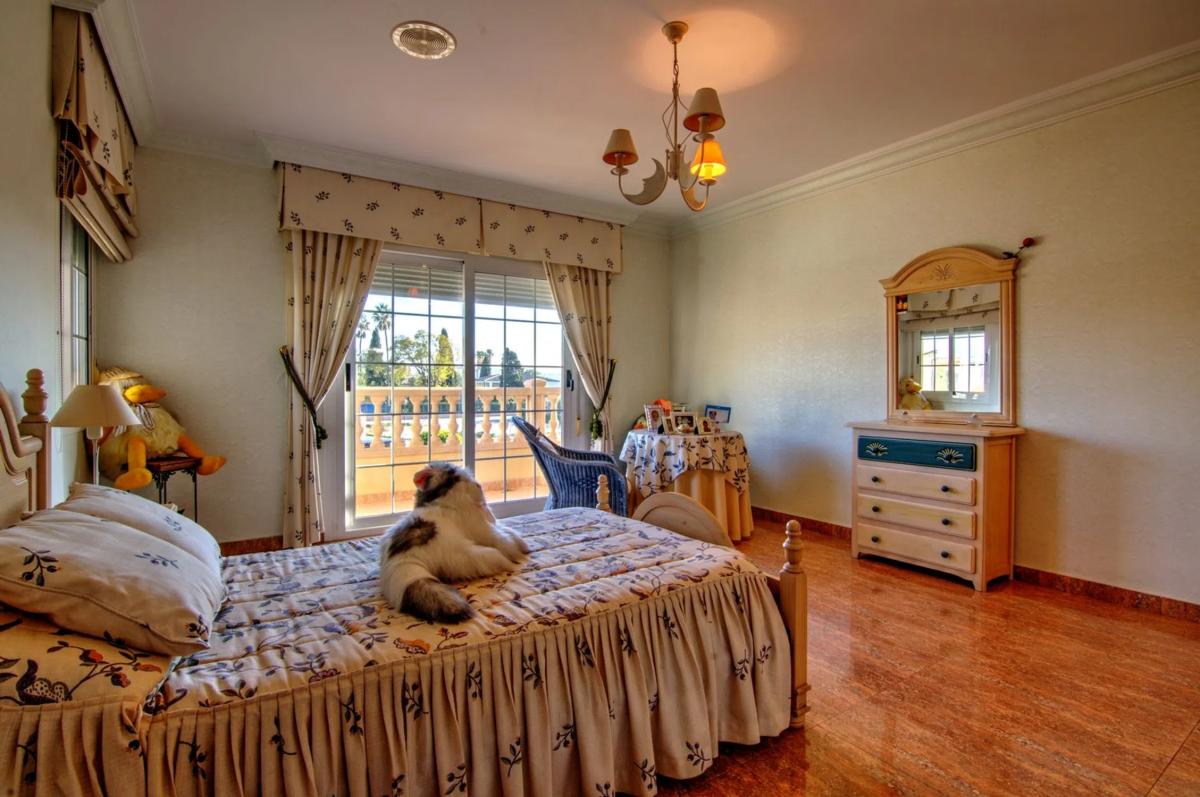 Venta de chalet independiente en CV-925, Orihuela
photo 3
