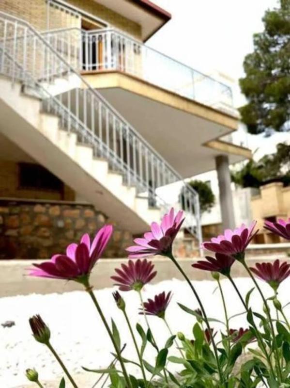 Sale of independent chalet in Barrio Campoamor, Orihuela
photo 1