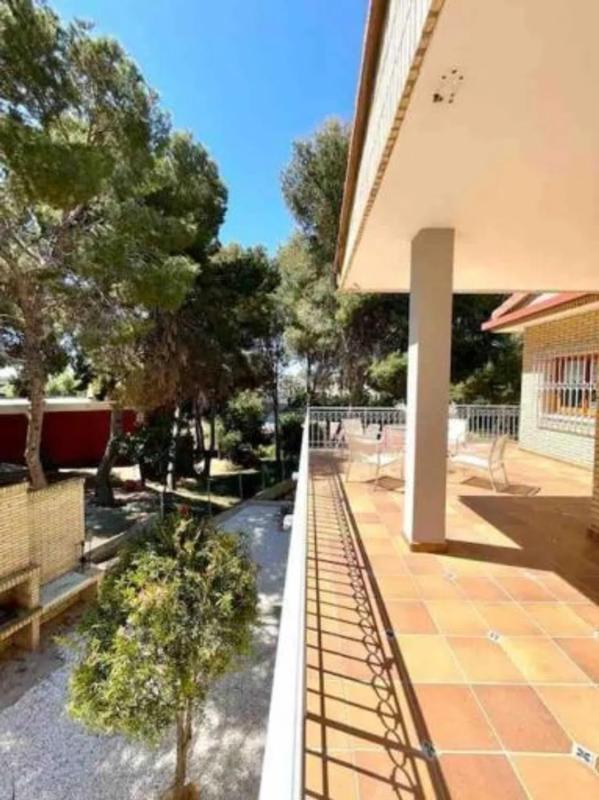 Sale of independent chalet in Barrio Campoamor, Orihuela
photo 3
