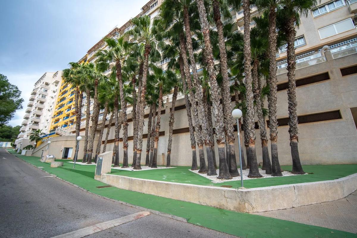 Sprzedaż poddasza w TN Y-1 CAMPOA-SECTOR NORTE, 7, Orihuela photo 4