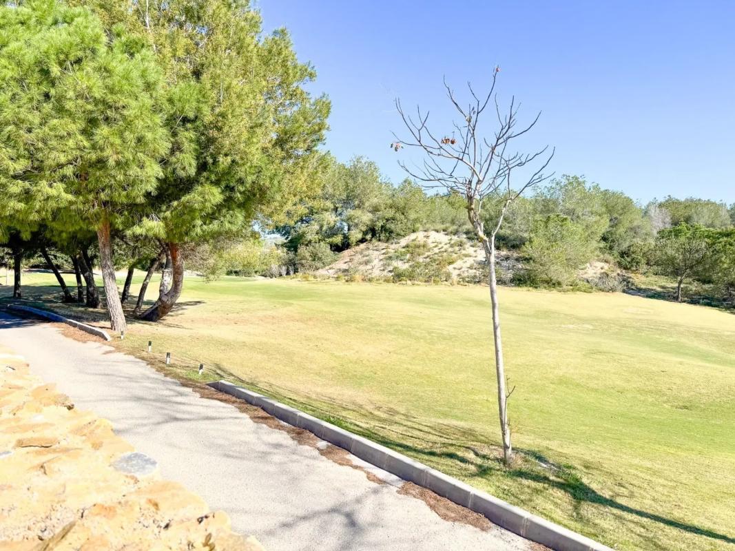 Sale of independent chalet in Barrio Las Colinas Golf, Orihuela
photo 3
