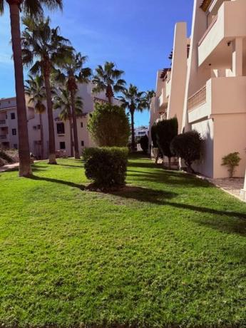 Ático en venta en Barrio Las Ramblas, Orihuela thumbnail 2
