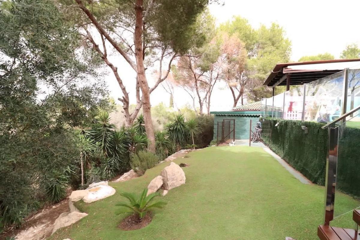 Venta de chalet independiente en Barrio Lomas de Don Juan, Orihuela
photo 5