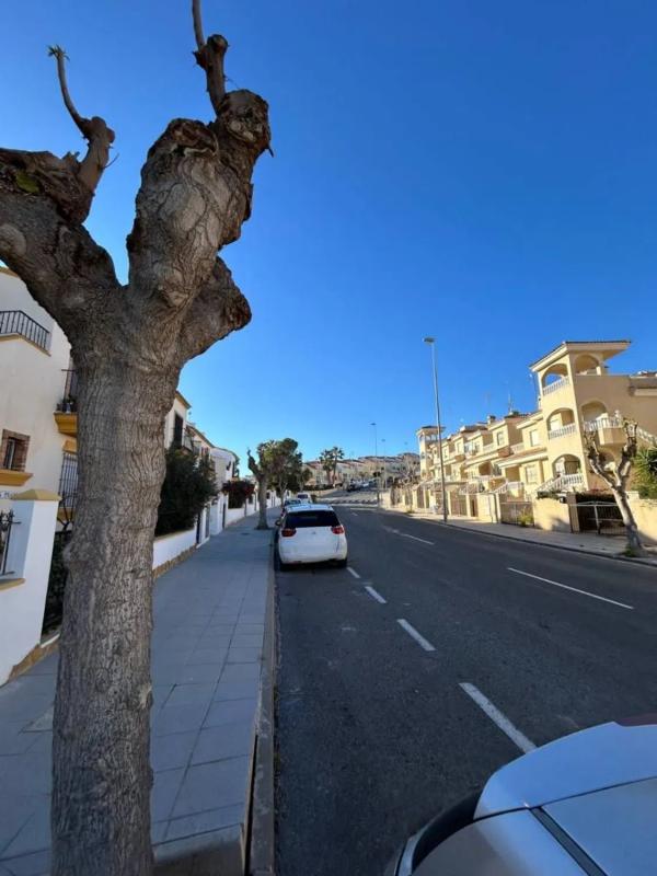 Venta de chalet adosado en Avenida de las Hierbas, 182 , Pilar de la Horadada photo 4