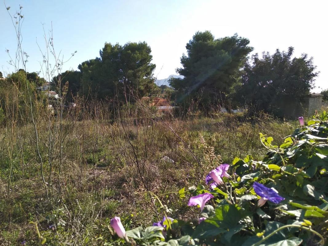 Land for sale in Calpe, Alicante photo 1